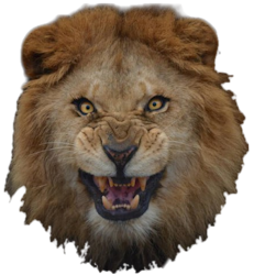 Аватара пользователя