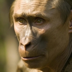 Аватара пользователя