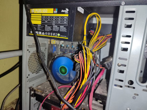 вы настоящие скоты!