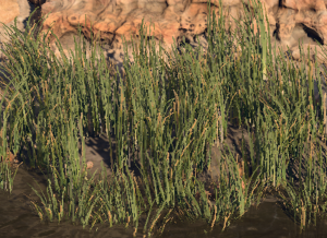 Screenshot 2024-09-17 122736.png