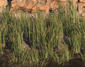 Screenshot 2024-09-17 122649.png