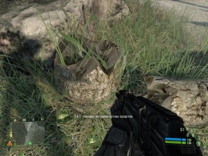 Crysis 2011-08-12 22-42-54-93.jpg
