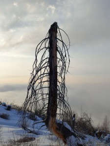 смотри внимательно truth1one)