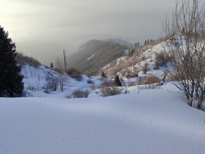 ааххахахаха