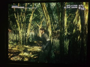 mgs3.jpg