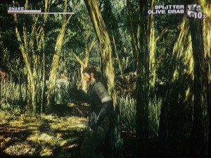 mgs3.jpg