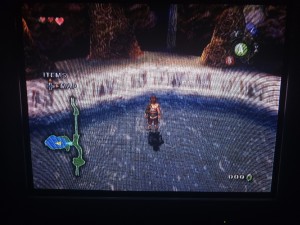 zelda (4).jpg