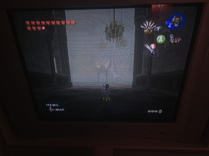 zelda (10).jpg