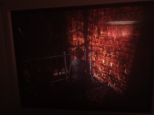 sh3 (3).jpg