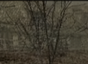 Screenshot 2026-09-04 093506.png