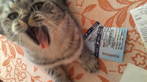 P_20150116_135936.jpg (2.19 МБ) 381 просмотр P_20150116_135936.jpg